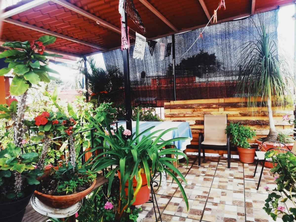 El Rincon De Dona Bety Hotel Oaxaca Eksteriør billede